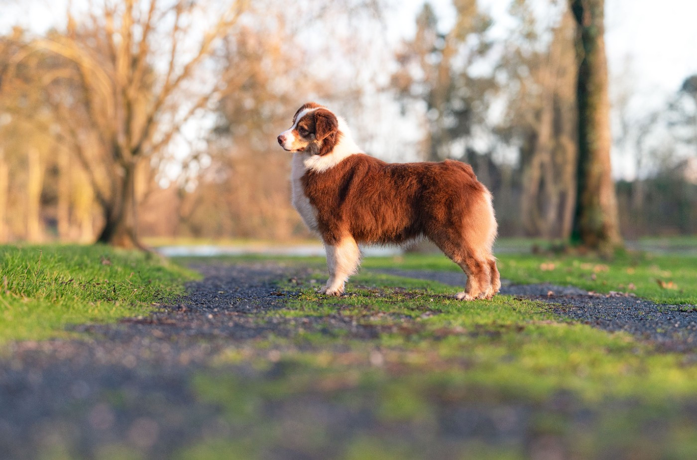 Ultra chic du chemin de la belle etoile