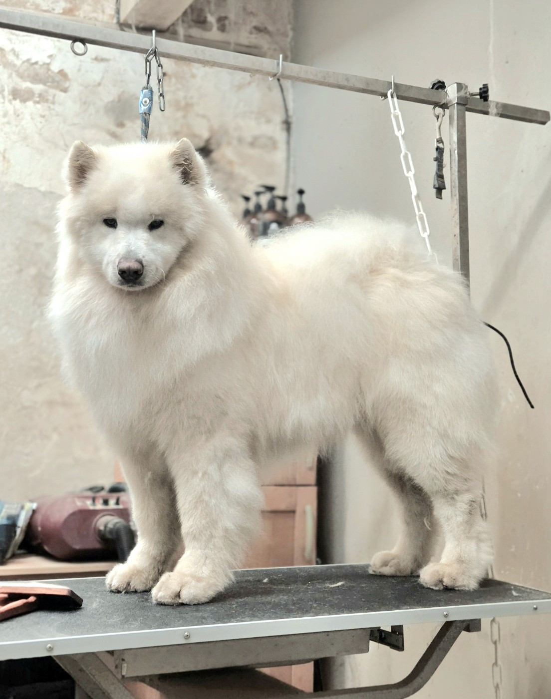 zvyozdnyi mir Chicago fire