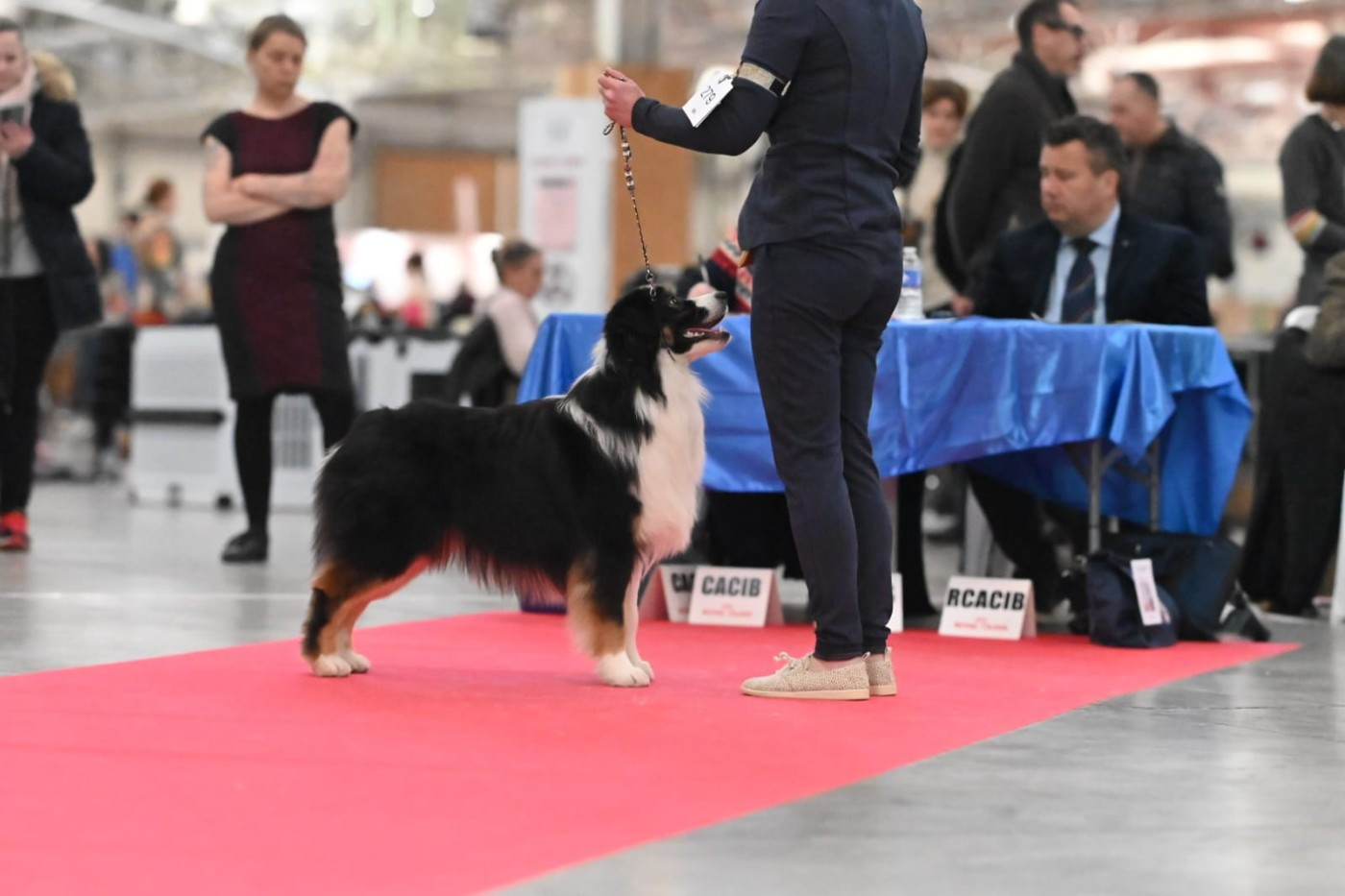 As de coeur du chemin de la belle etoile