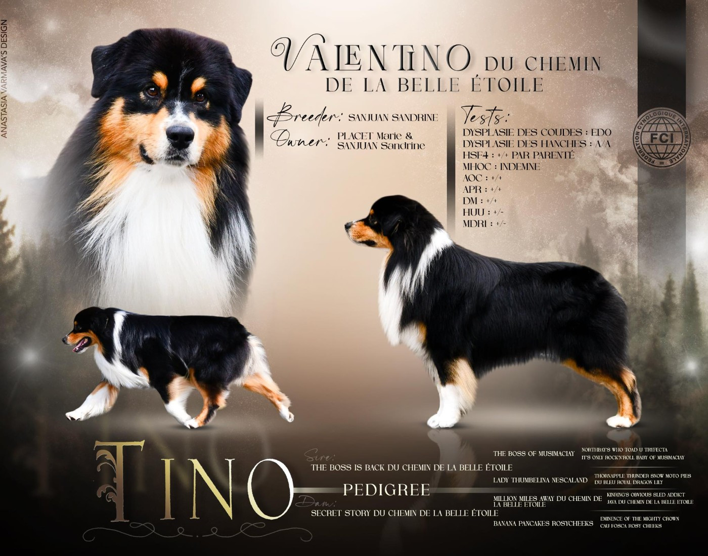 Valentino du chemin de la belle etoile