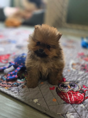 Be Got The Look Coco
